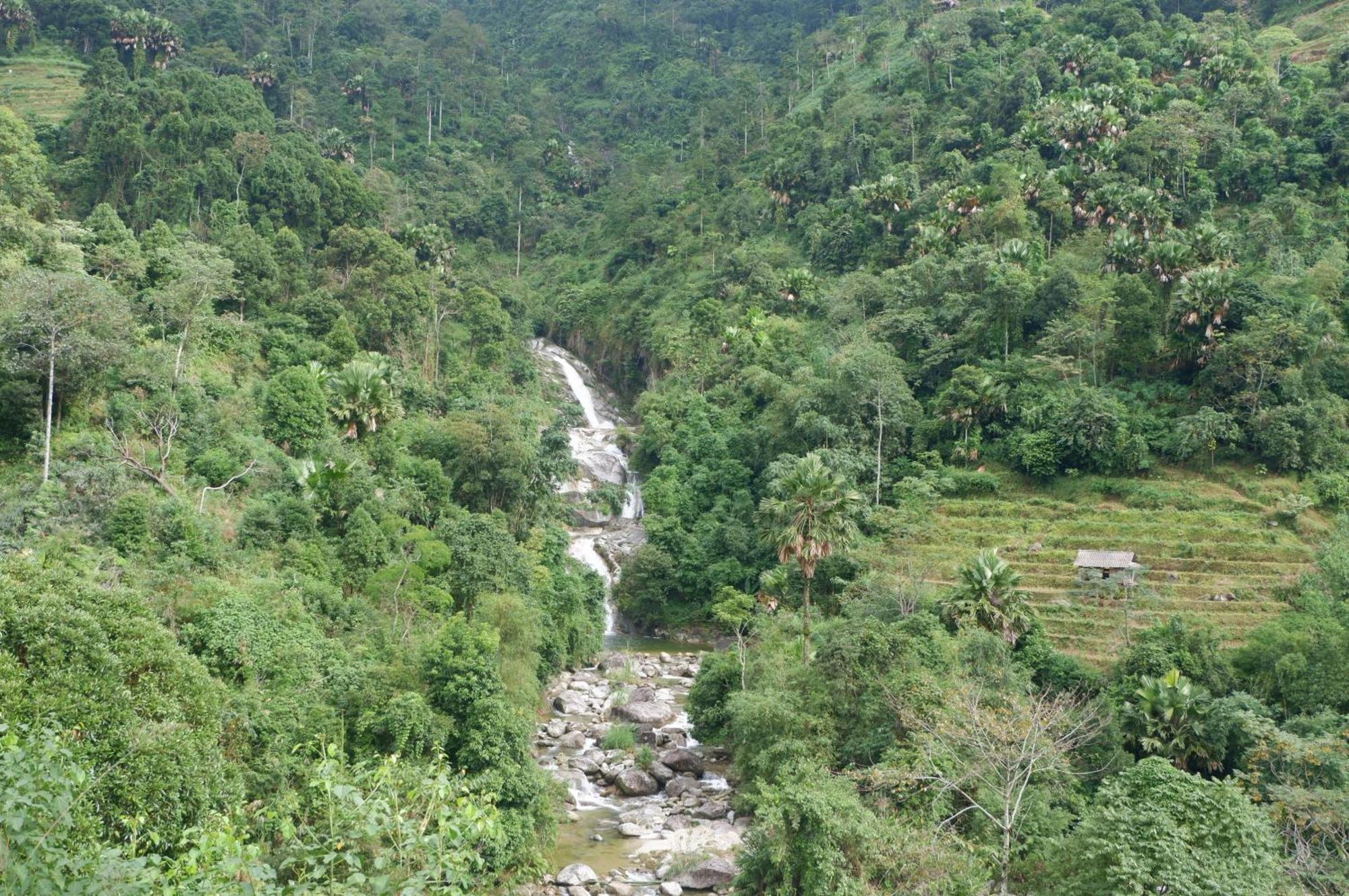 Bikki'S Jungle Homestay Ha Giang Exterior foto