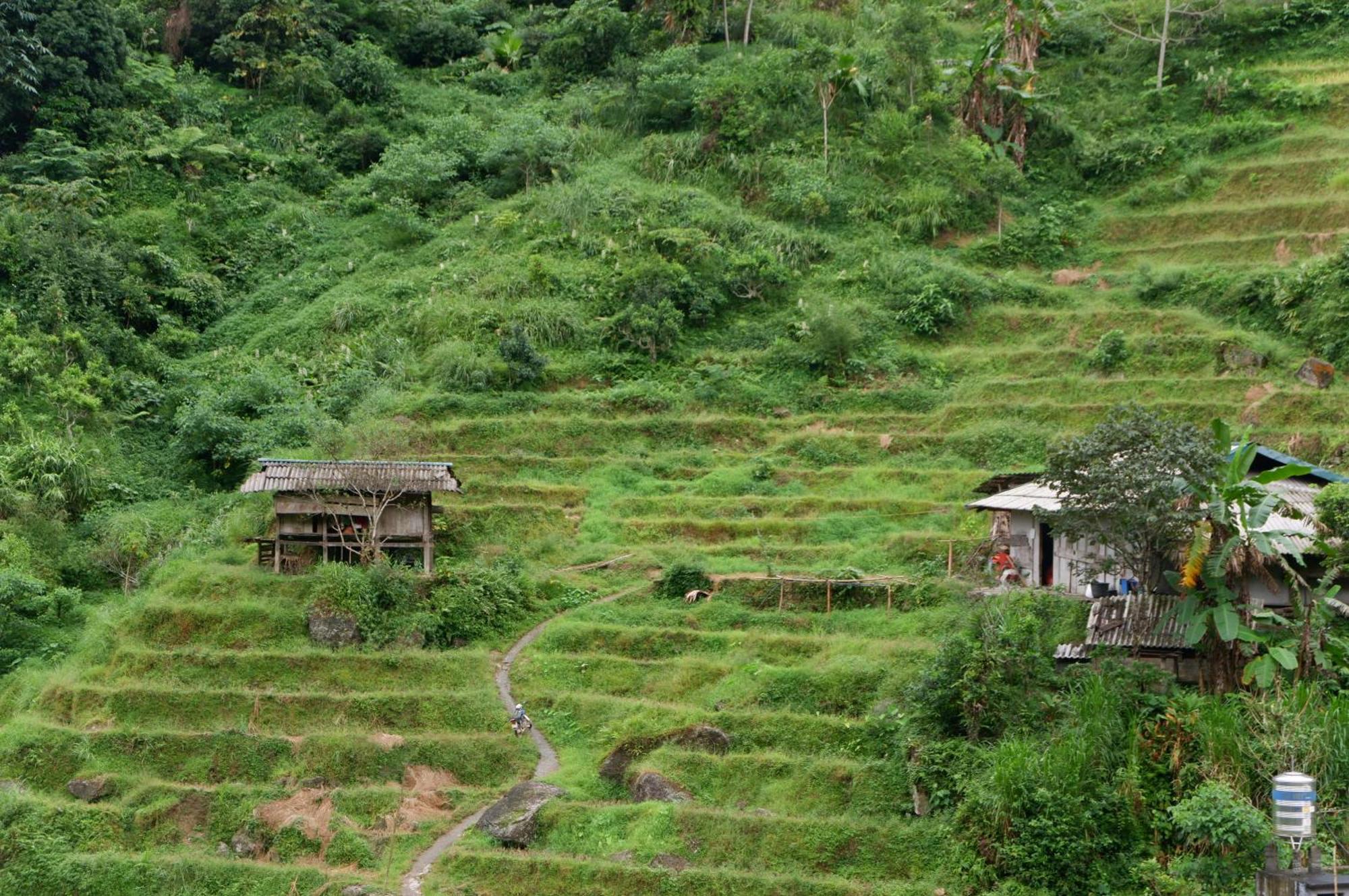 Bikki'S Jungle Homestay Ha Giang Exterior foto