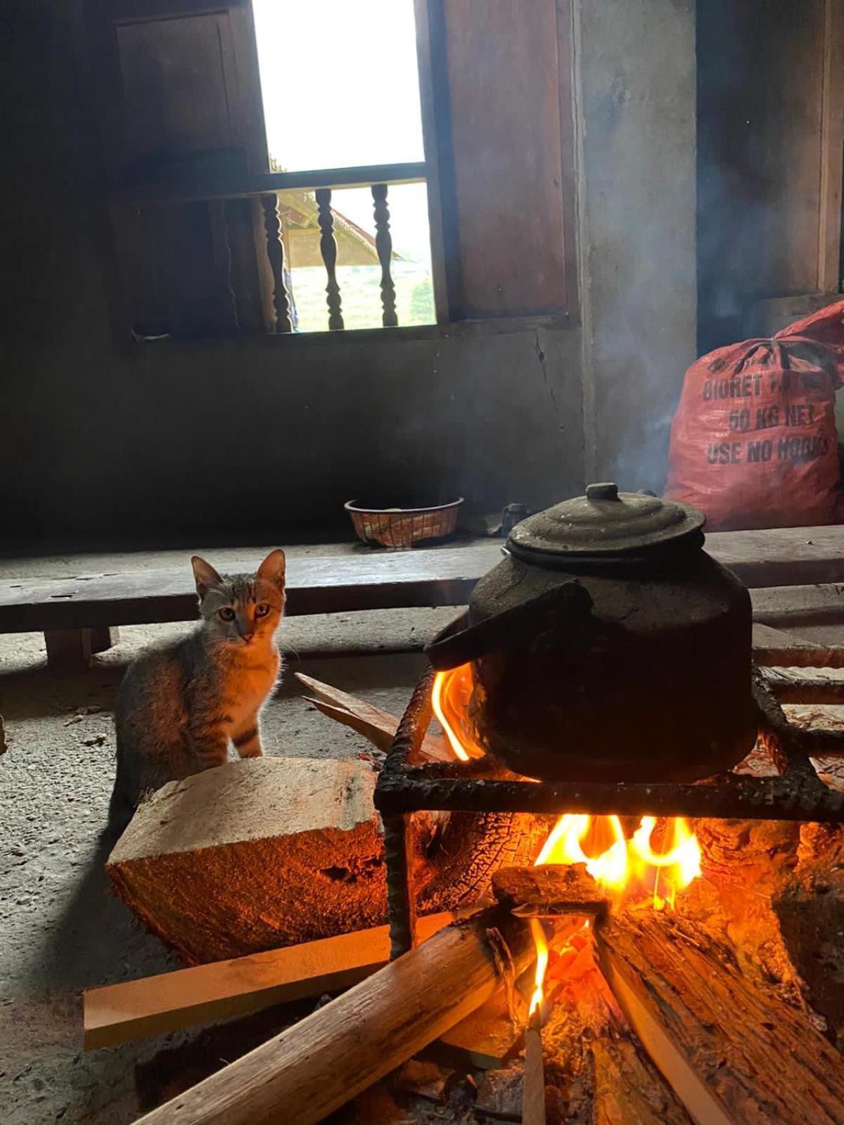 Bikki'S Jungle Homestay Ha Giang Exterior foto